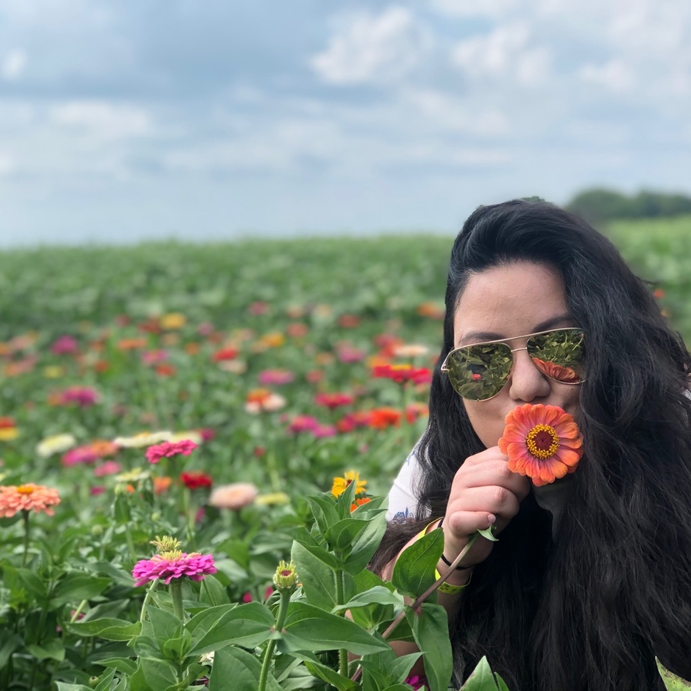 Meet your Posher, Posh